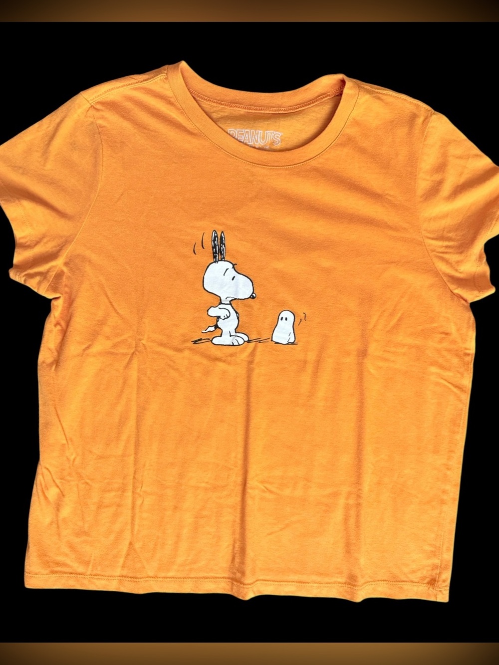 Peanuts Snoopy Woodstock T Shirt Youth XXL 14/16 Orange Halloween Ghost Tee